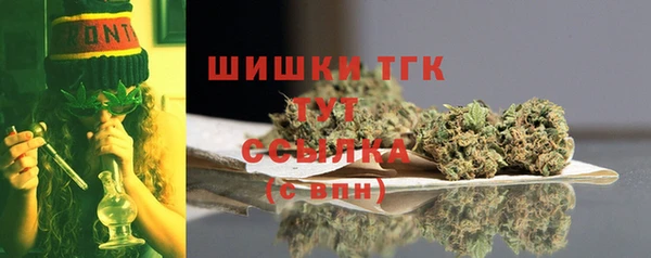 МДПВ Новозыбков