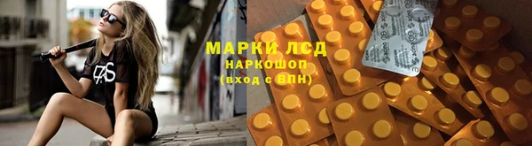 крисы Новодвинск