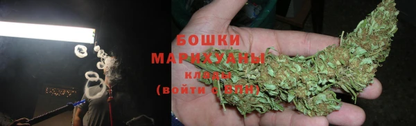 крисы Новодвинск