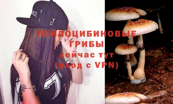 крисы Новодвинск