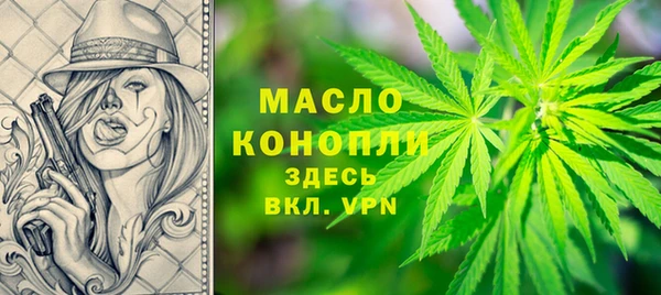 крисы Новодвинск
