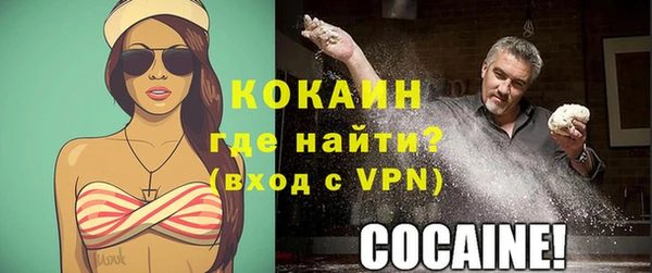 тгк Нея